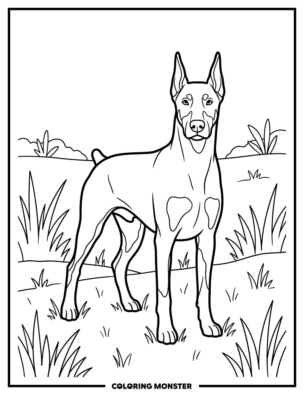 Doberman Pinscher in Field Coloring Page