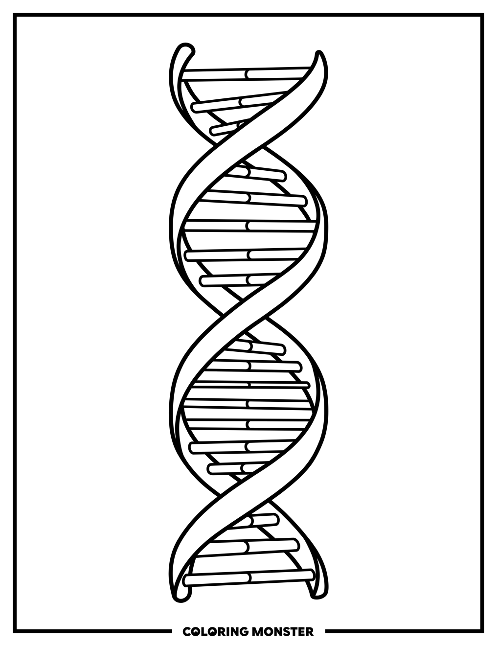 Double Helix DNA Strand Coloring Page