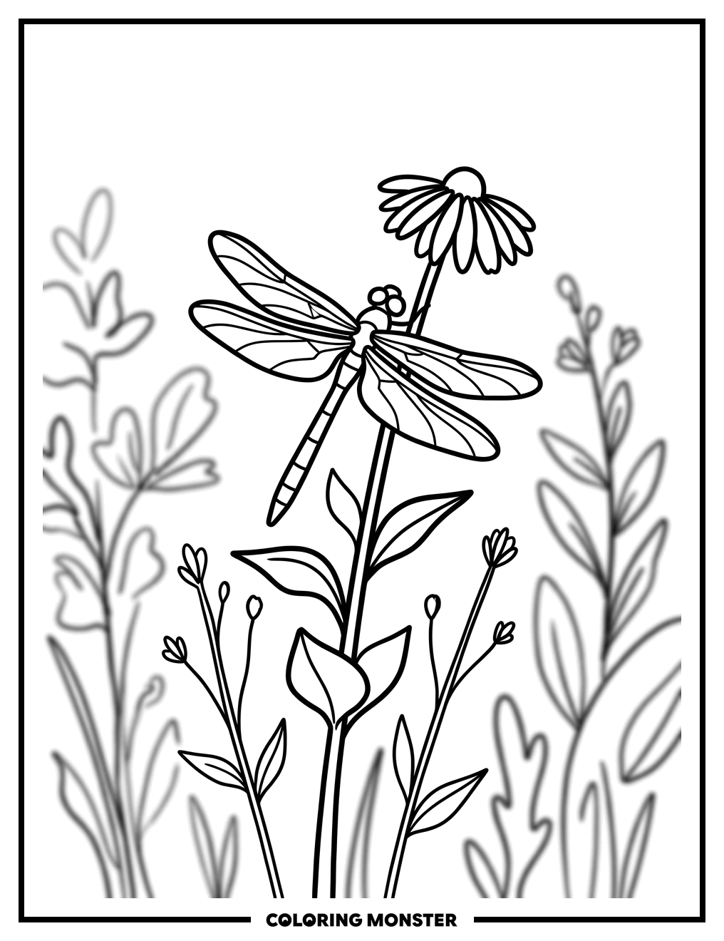 Dragonfly on Wildflower Coloring Page