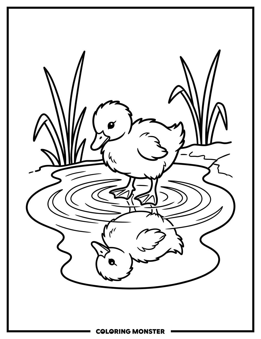Duckling in a Puddle Coloring Page