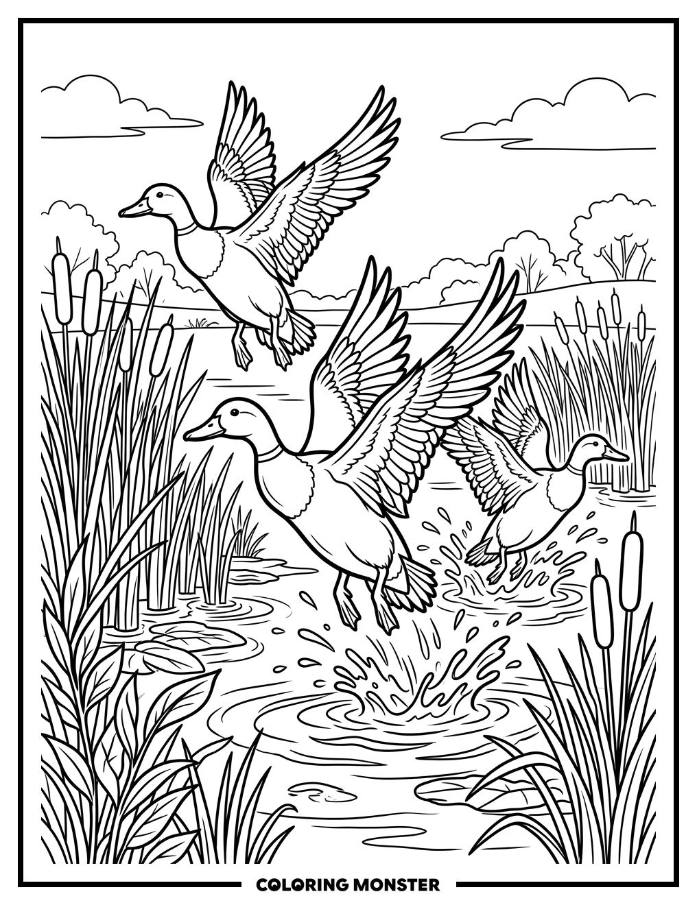 Ducks Taking Flight Over Pond Coloring Page