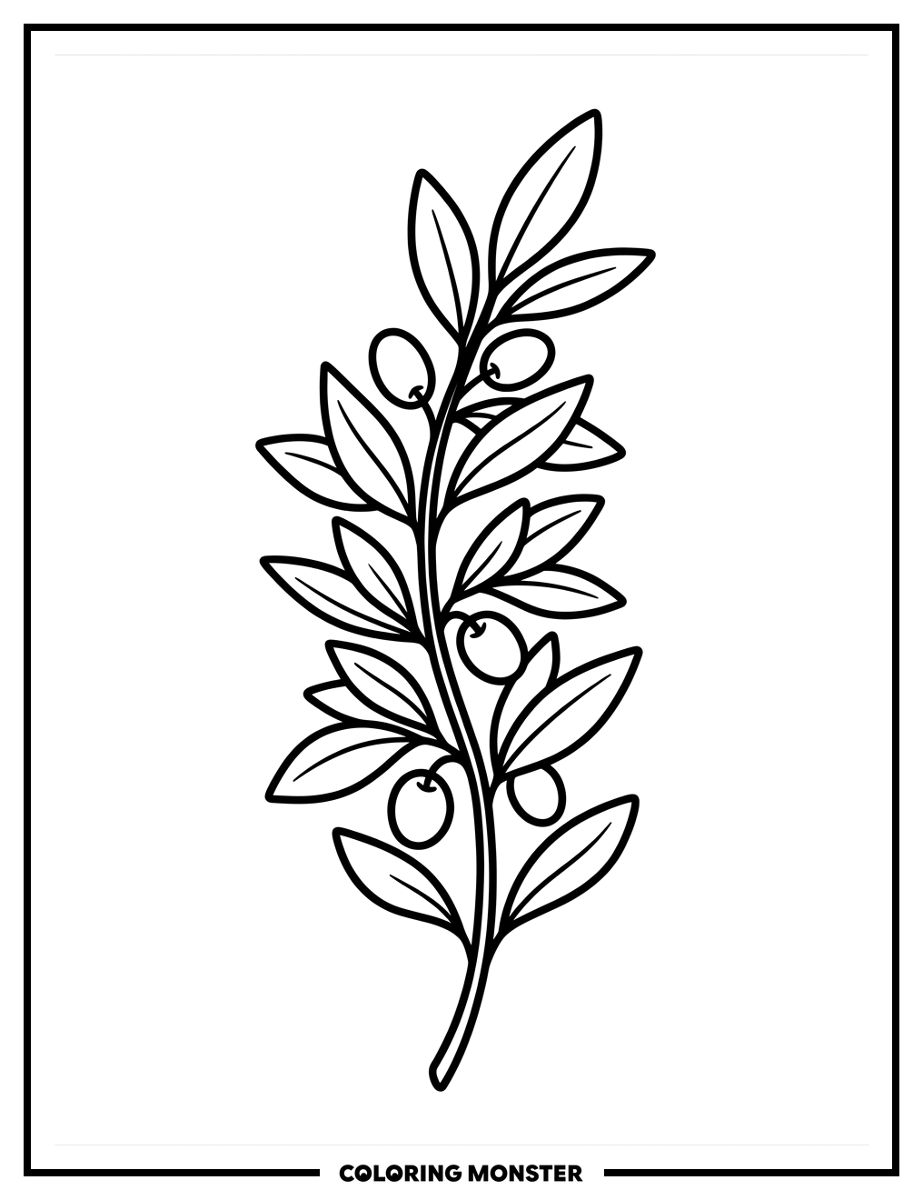 Elegant Olive Branch Coloring Page