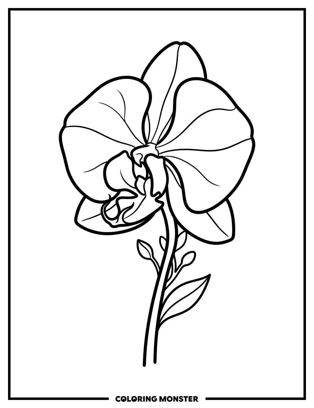 Elegant Orchid Profile Coloring Page