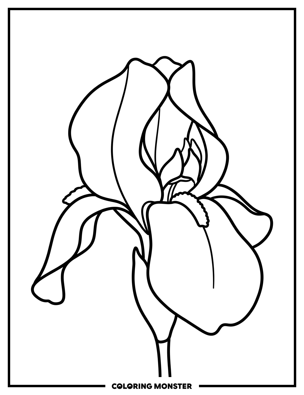 Elegant Yellow Iris Flower Coloring Page