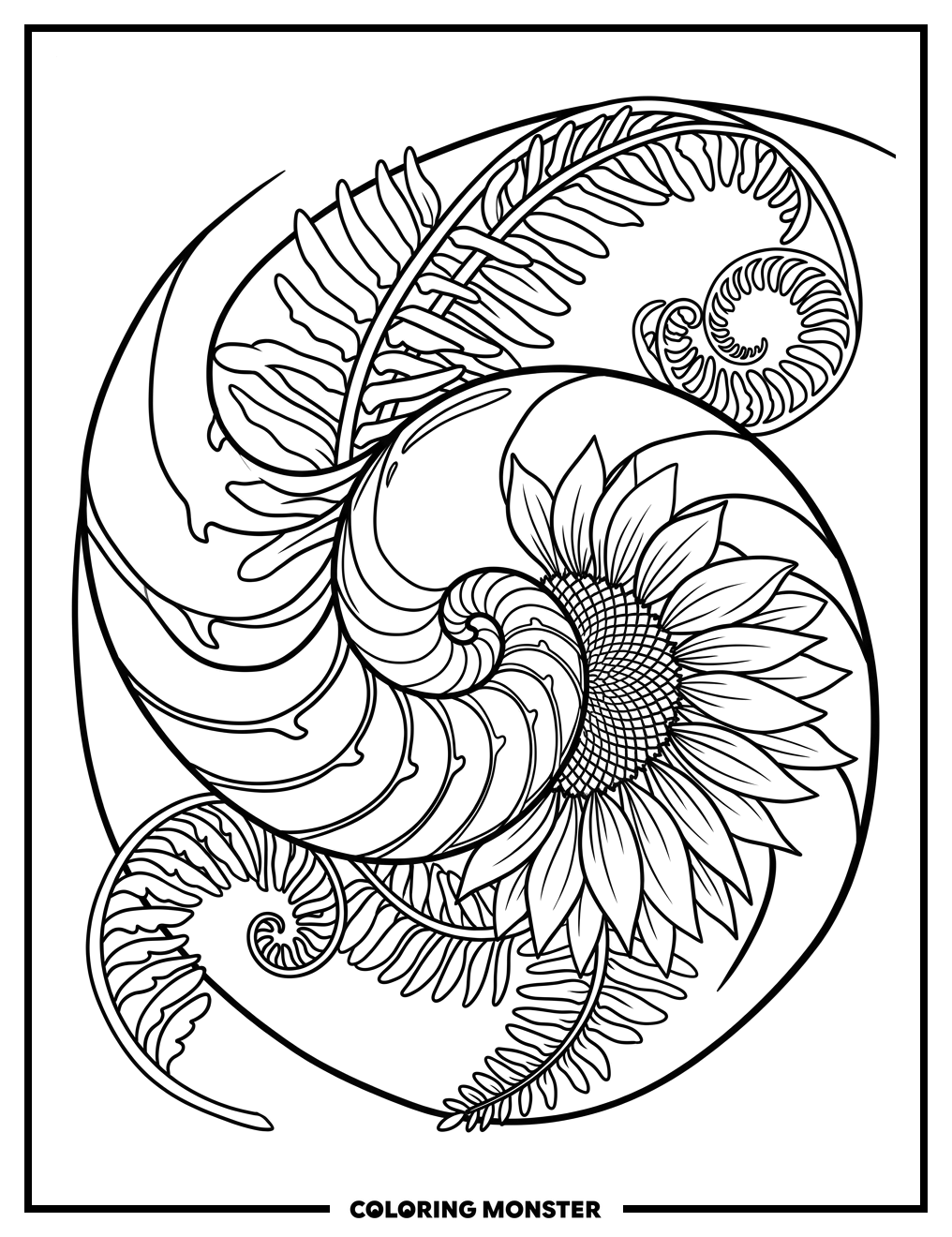 Fibonacci Spiral With Nature Coloring Page