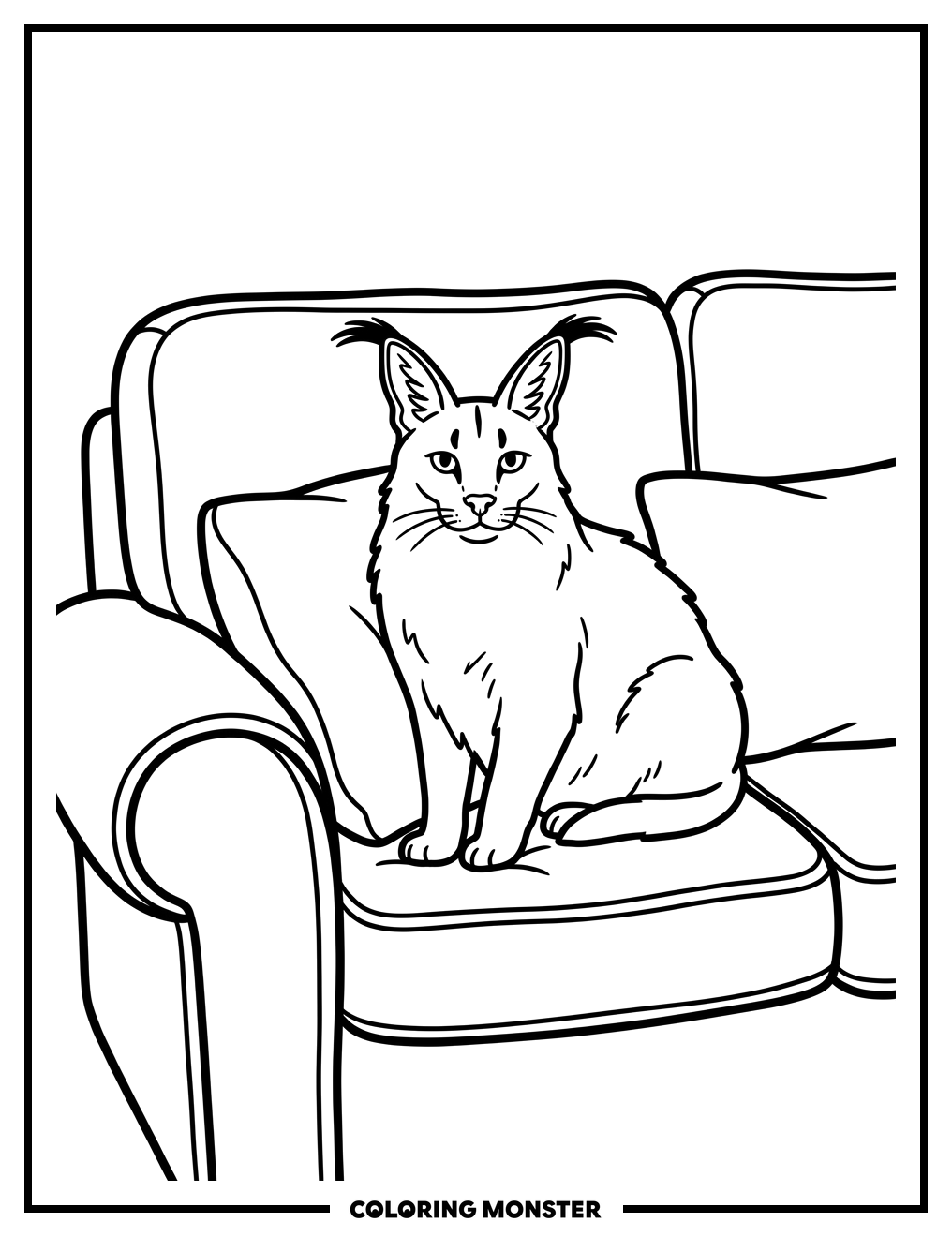 Fluffy Cat on Couch Coloring Page