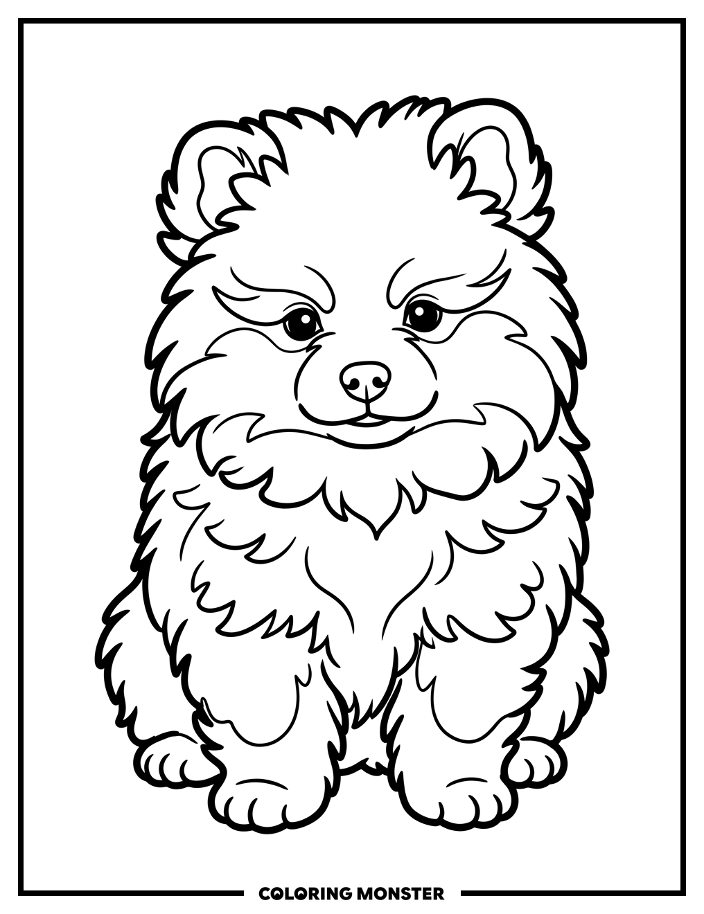 Fluffy Pomeranian Puppy Coloring Page