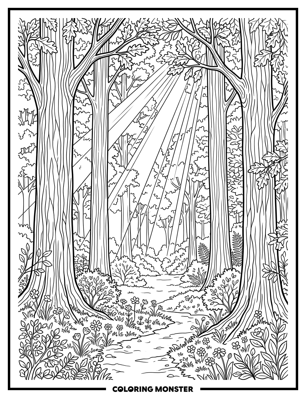Forest Clearing With Sunlight And Wildflowers Coloring Page