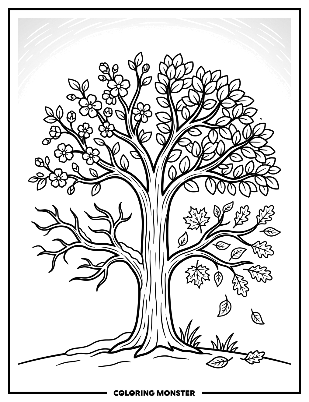 Four Seasons Tree Coloring Page
