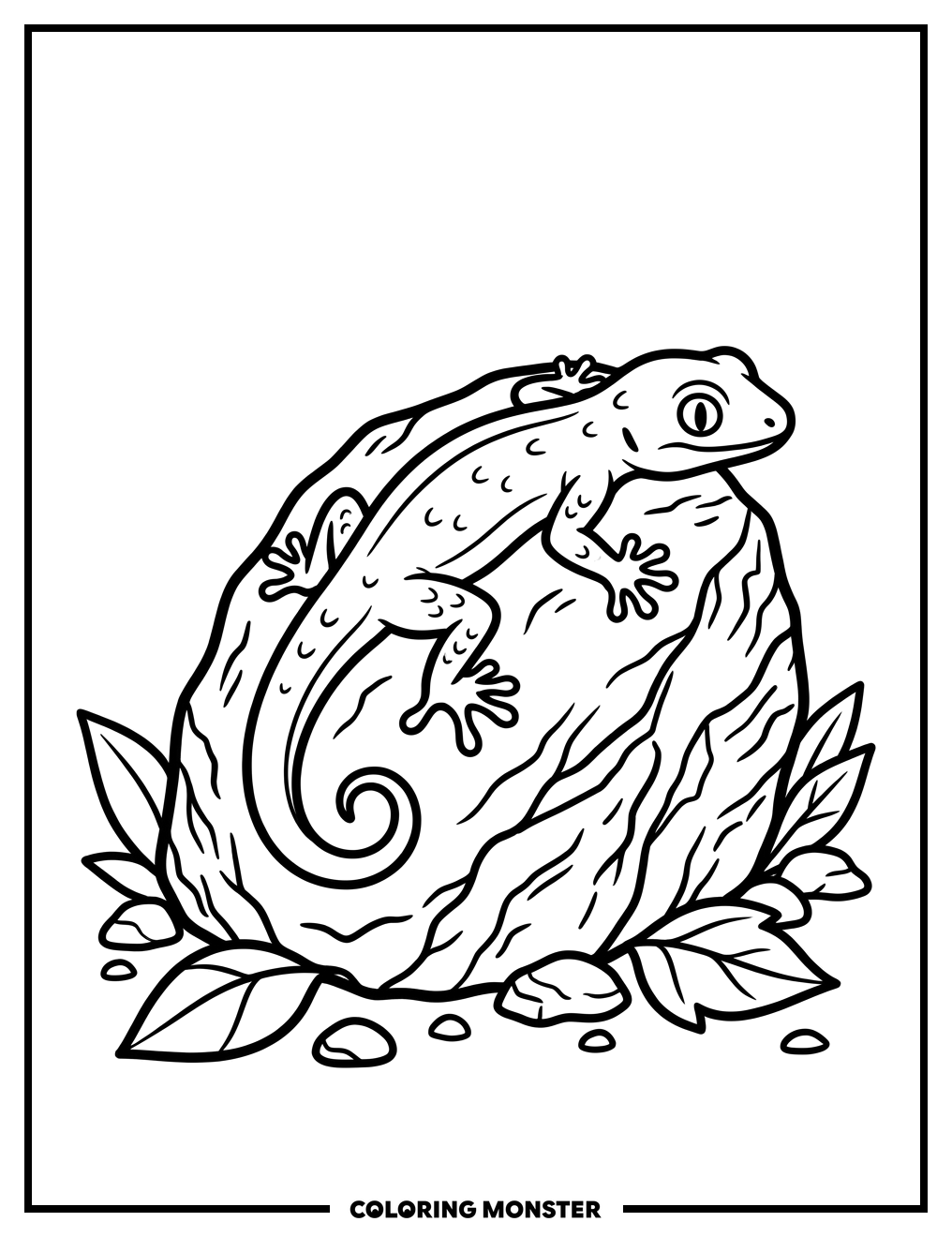 Gecko on Textured Rock Coloring Page