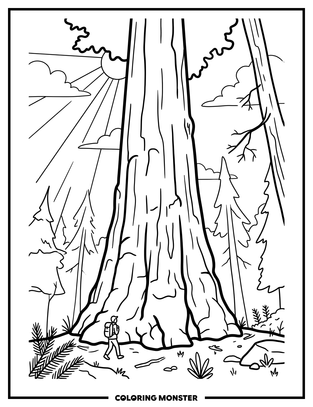 Giant Sequoia Tree and Hiker Coloring Page