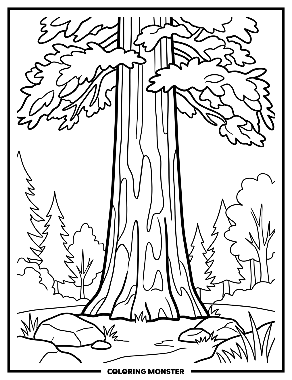Giant Sequoia Tree in Forest Clearing Coloring Page
