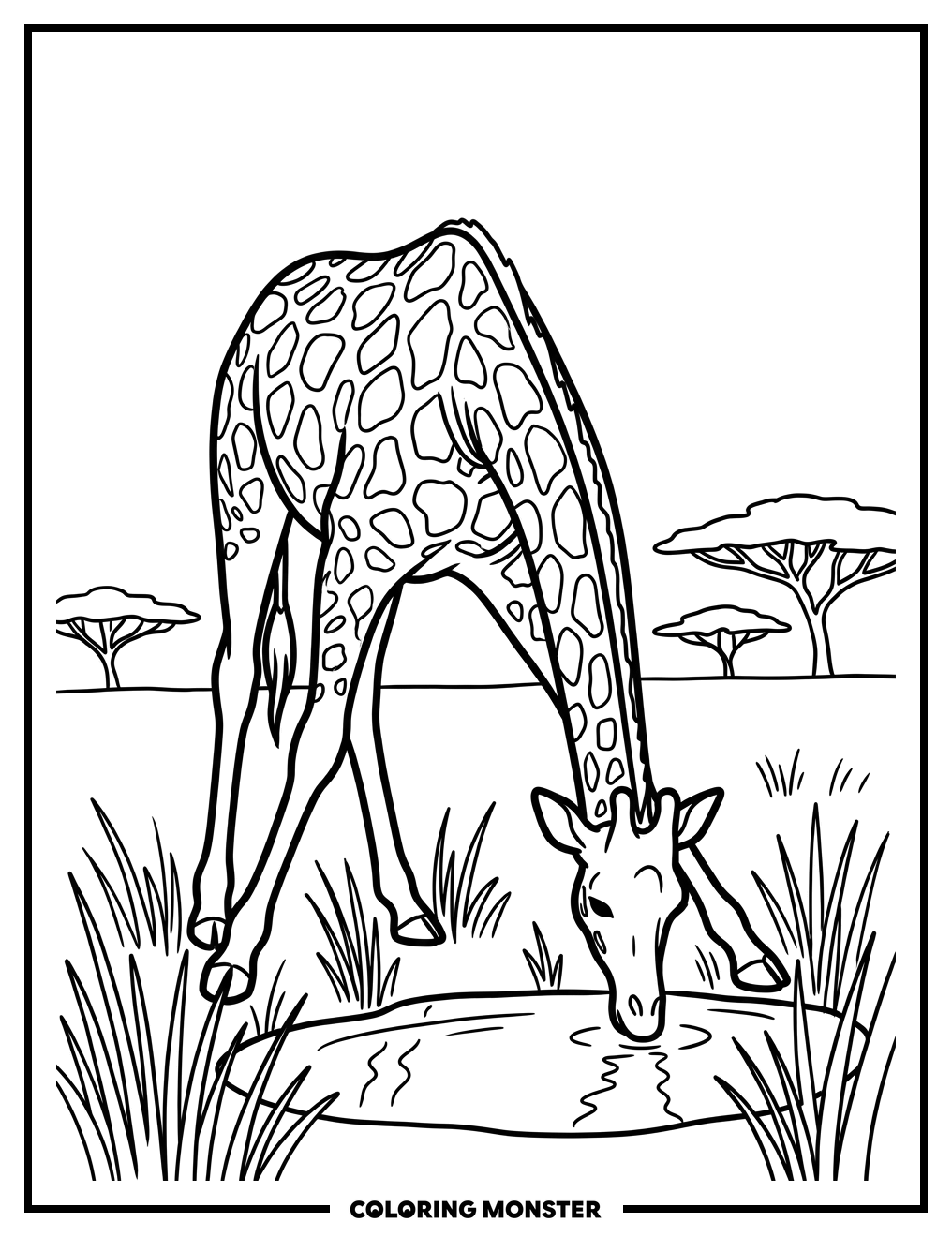 Giraffe Drinking at the Watering Hole Coloring Page