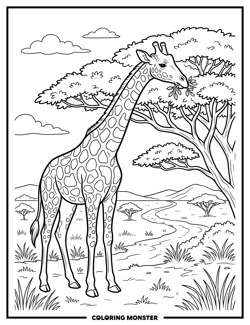 Giraffe Eating From Acacia Tree Coloring Page