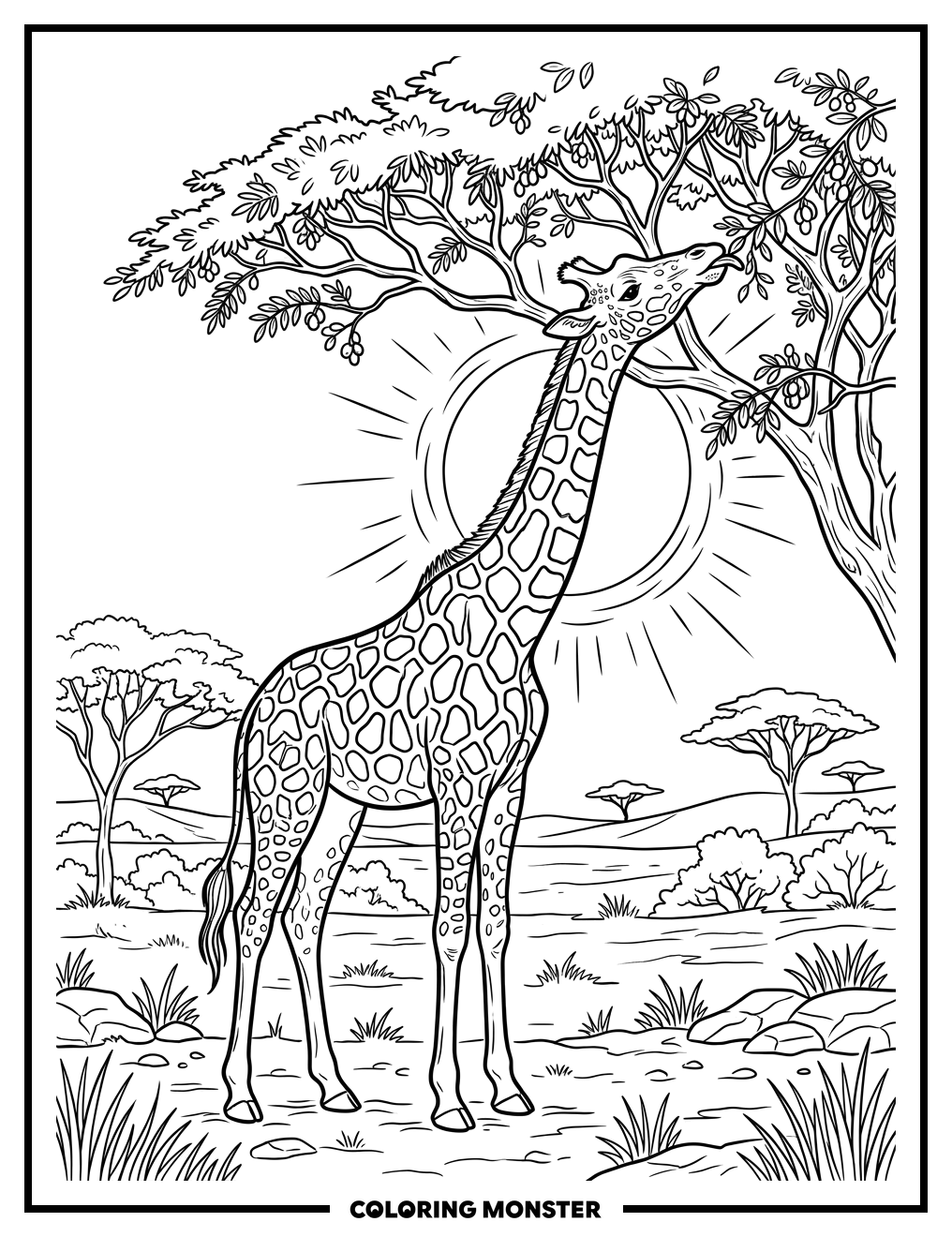 Giraffe Reaching for Acacia Leaves Coloring Page