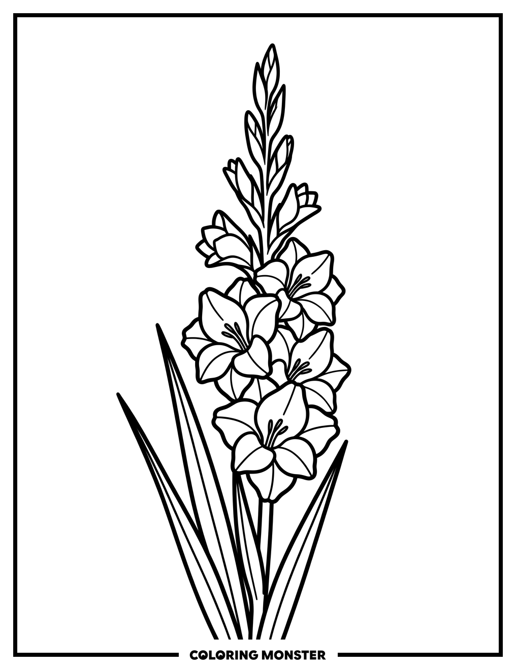 Gladiolus Flower In Bloom Coloring Page