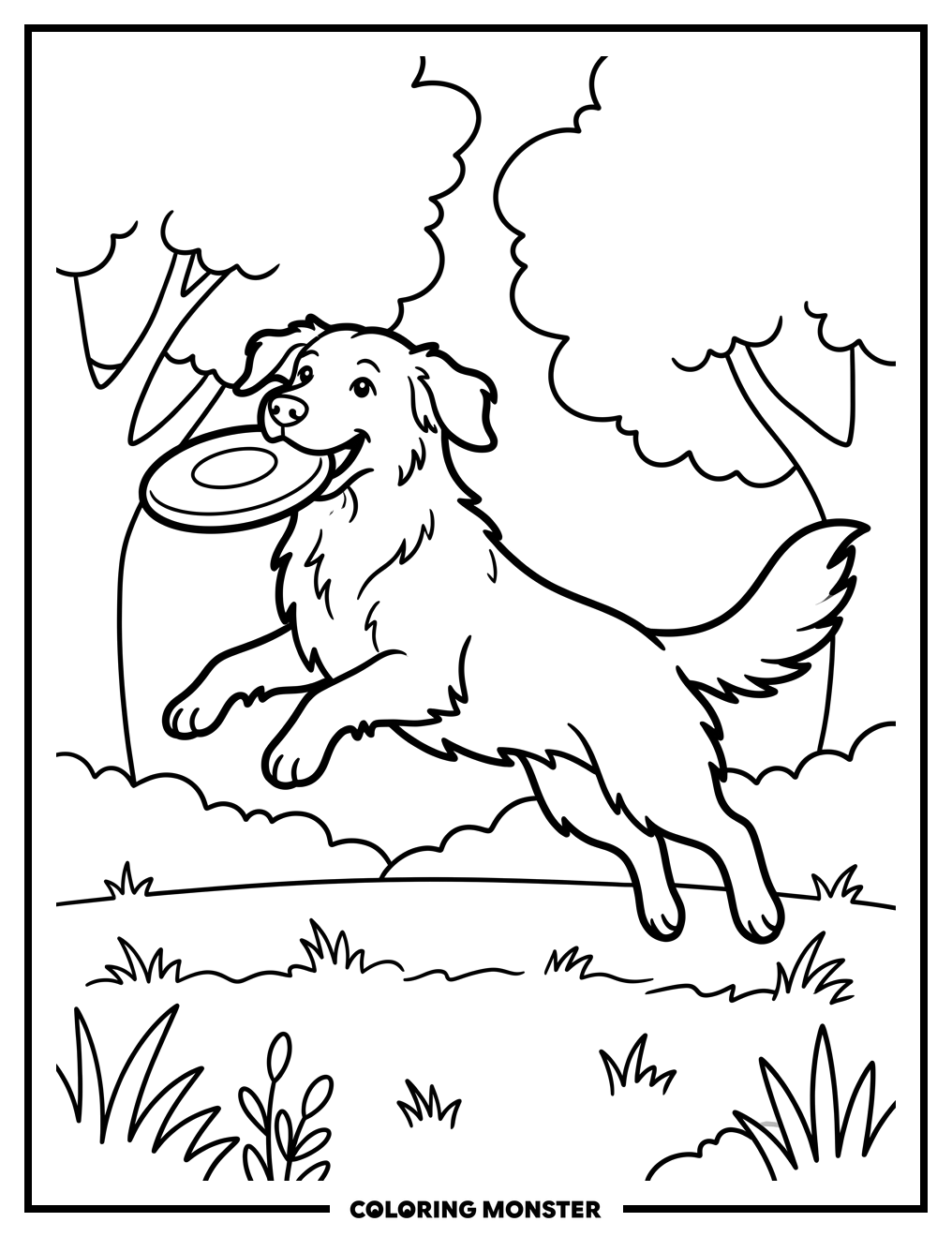 Golden Retriever Catches Frisbee Coloring Page