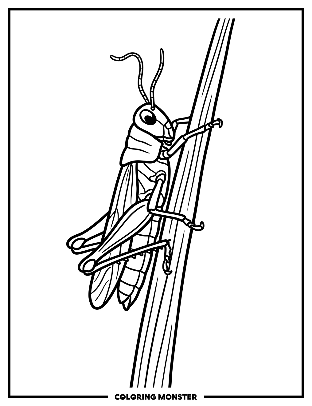 Grasshopper On A Blade Of Grass Coloring Page