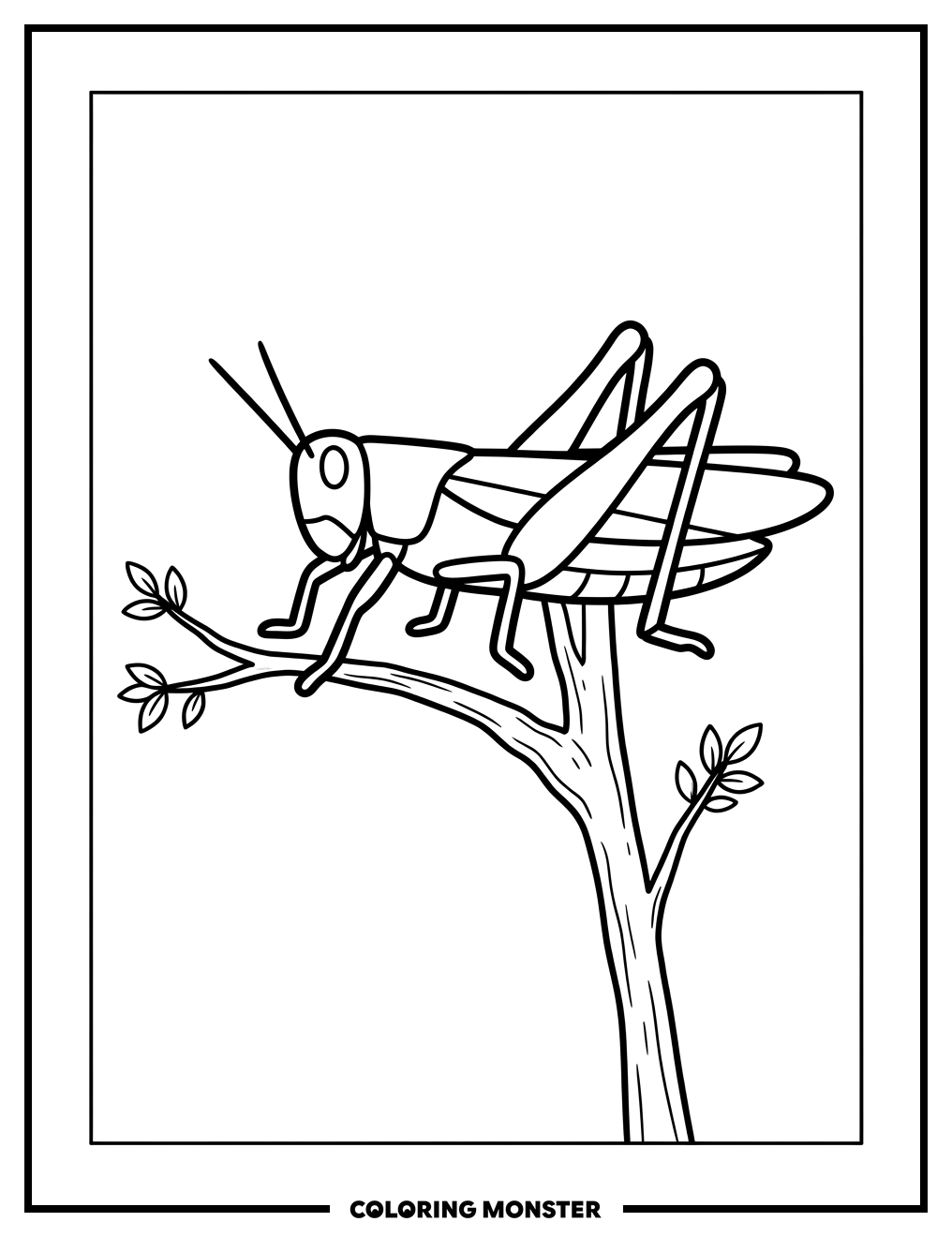 Grasshopper on a Tree Branch Coloring Page