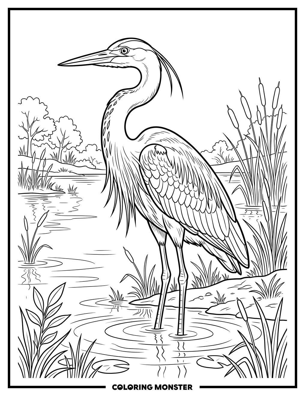 Great Blue Heron In Water Coloring Page