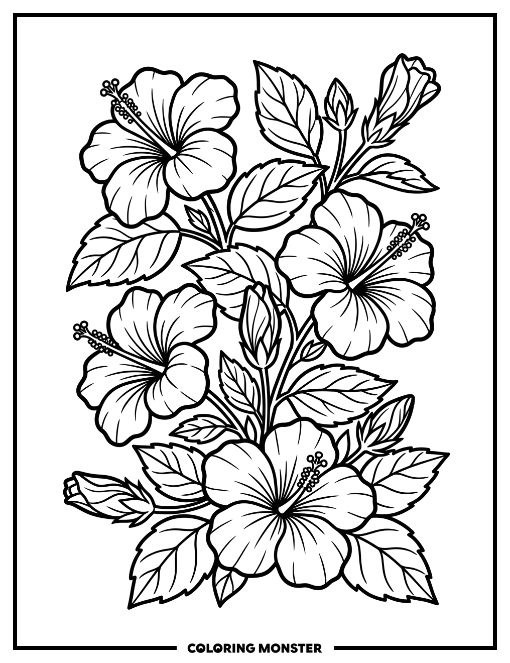 Hawaiian Hibiscus Flowers and Leaves Coloring Page
