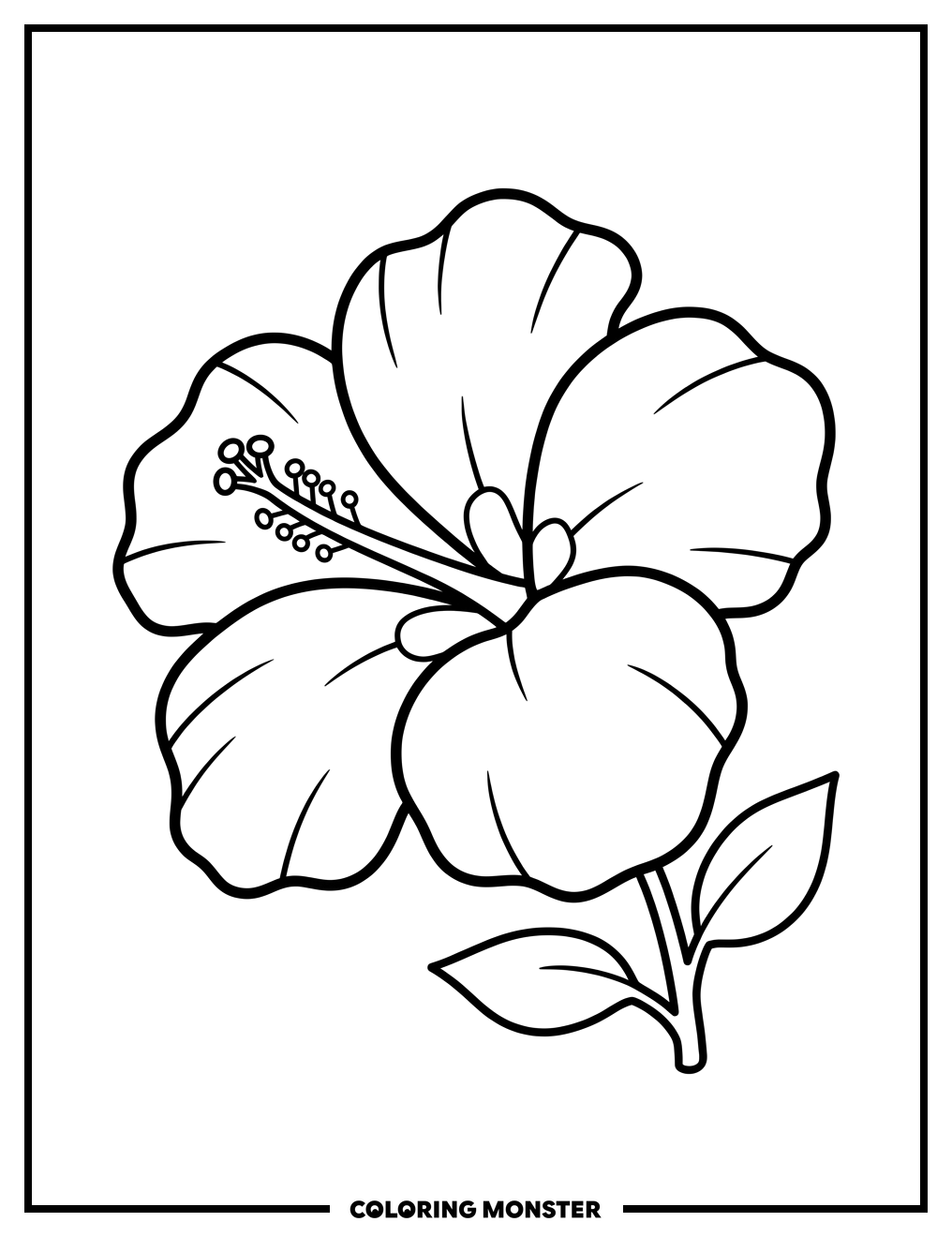 Hibiscus Flower Profile Coloring Page
