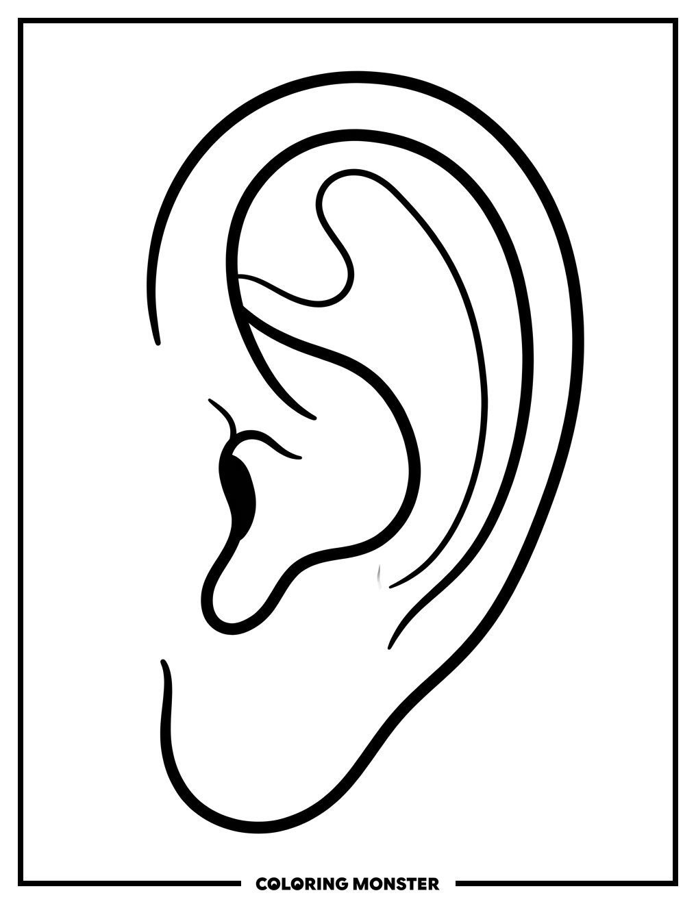 Human Ear In Profile Coloring Page