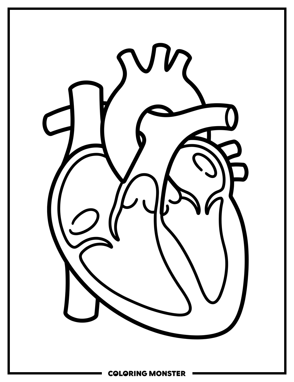 Human Heart Anatomy Coloring Page