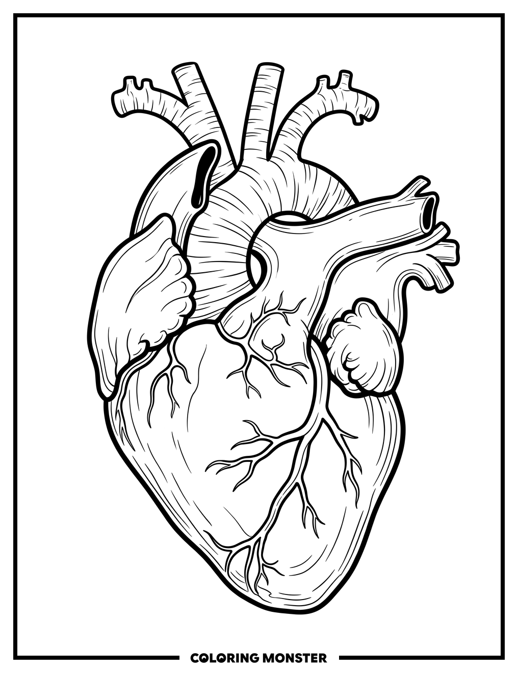 Human Heart Anatomy Diagram Coloring Page