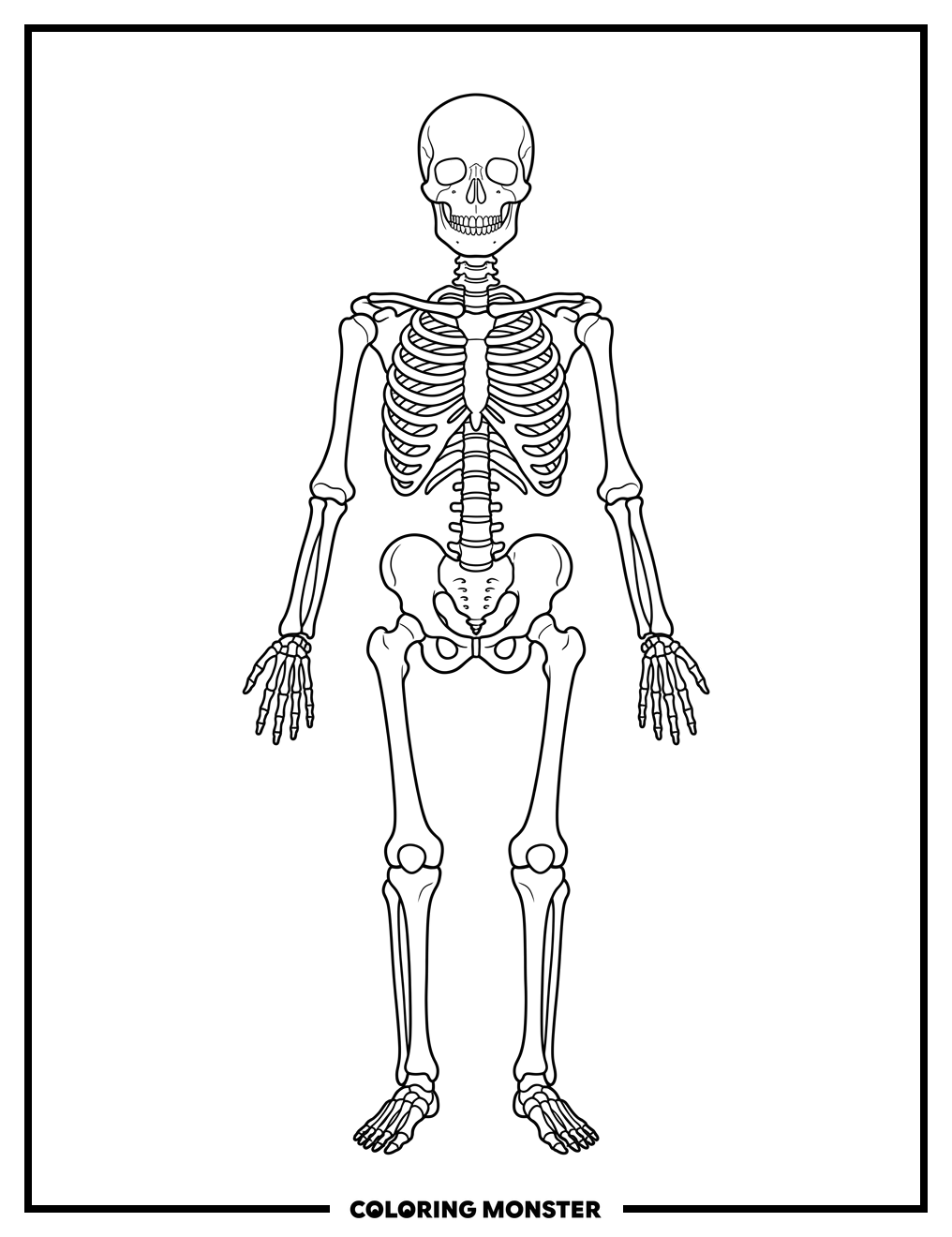 Human Skeleton Coloring Page