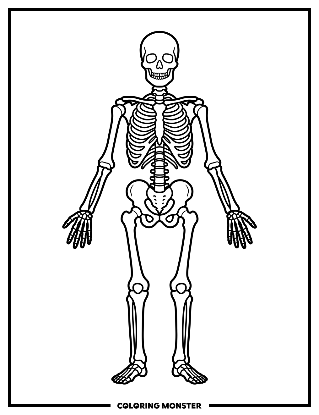 Human Skeleton X-Ray Coloring Page