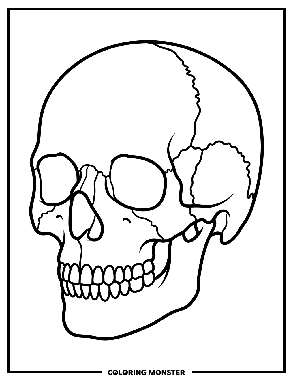 Human Skull Anatomy Coloring Page