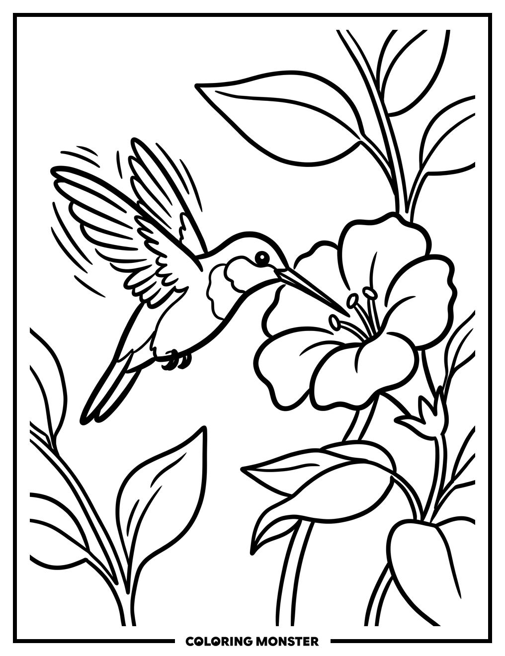 Hummingbird and Blooming Flower