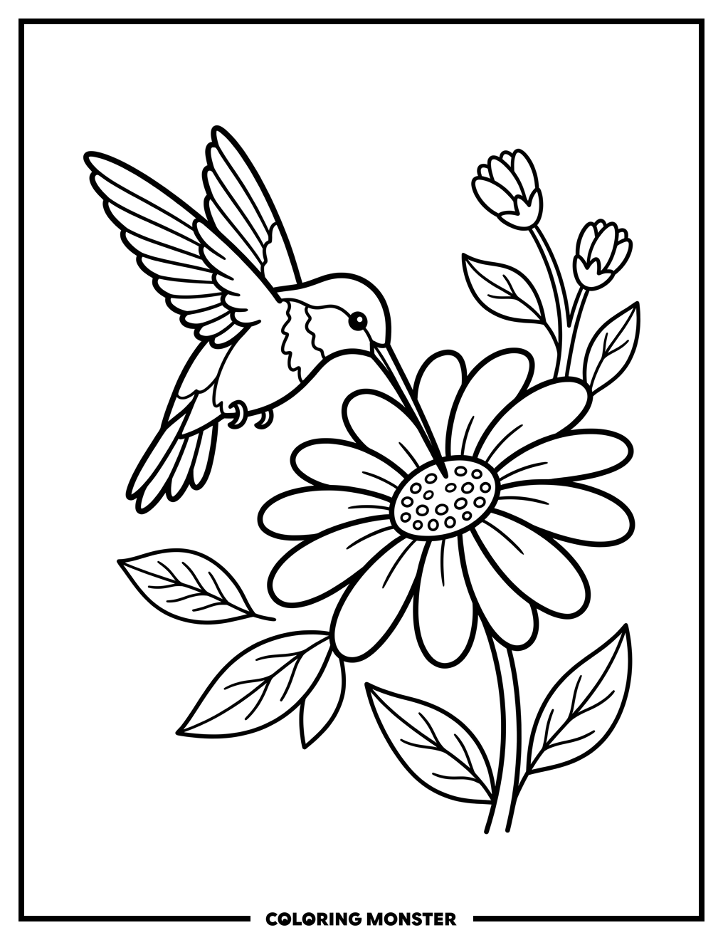 Hummingbird and Daisy Coloring Page