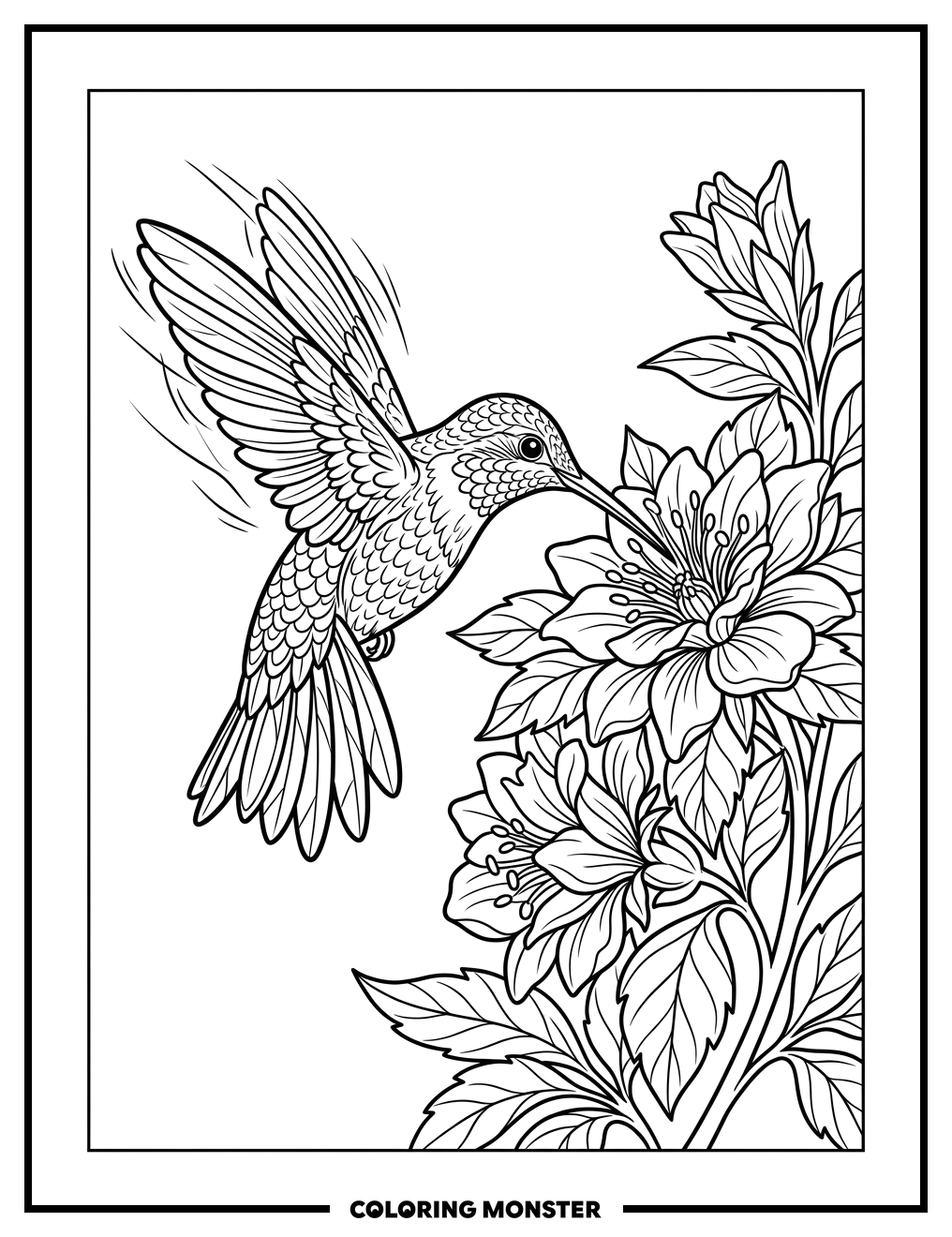 Hummingbird Drinking Nectar Coloring Page