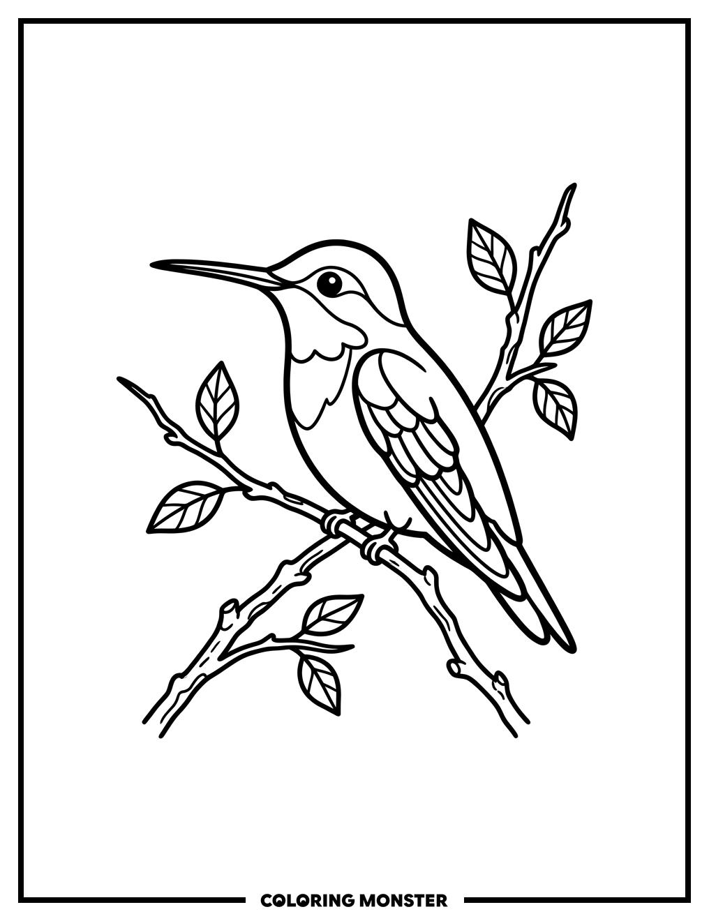 Hummingbird on Bare Branch Coloring Page