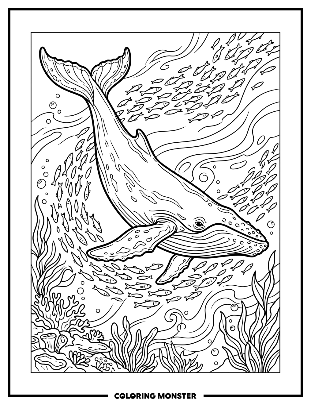 Humpback Whale And Fish Coloring Page