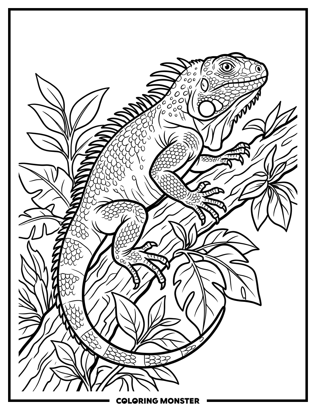 Iguana on a Leafy Branch Coloring Page