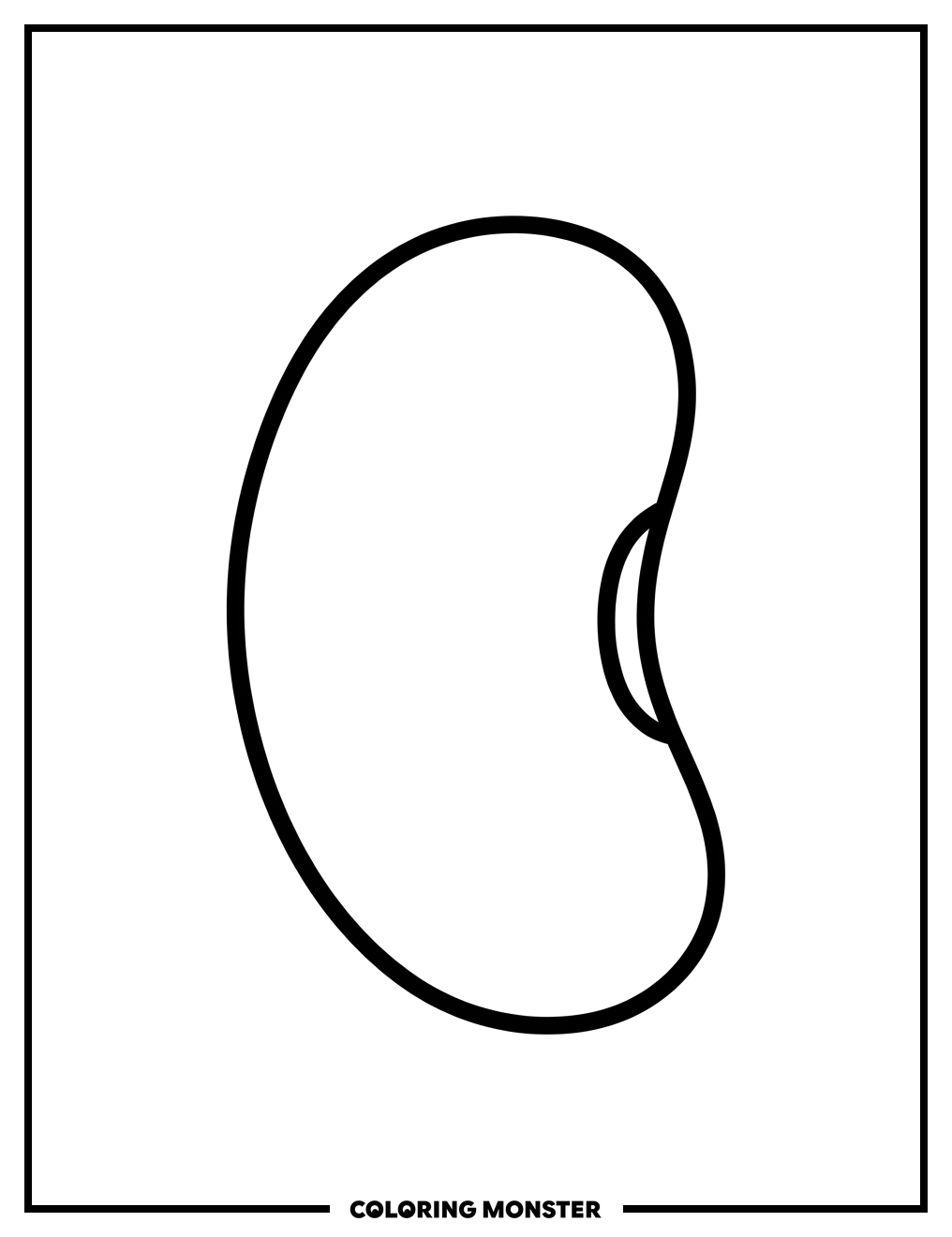 Kidney Bean Profile Coloring Page