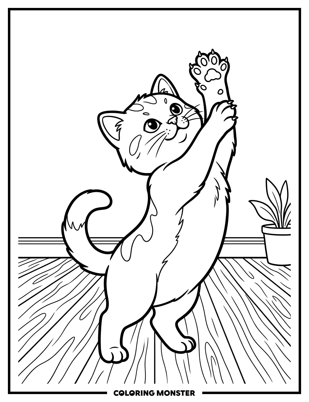 Kitten Stretching Its Back