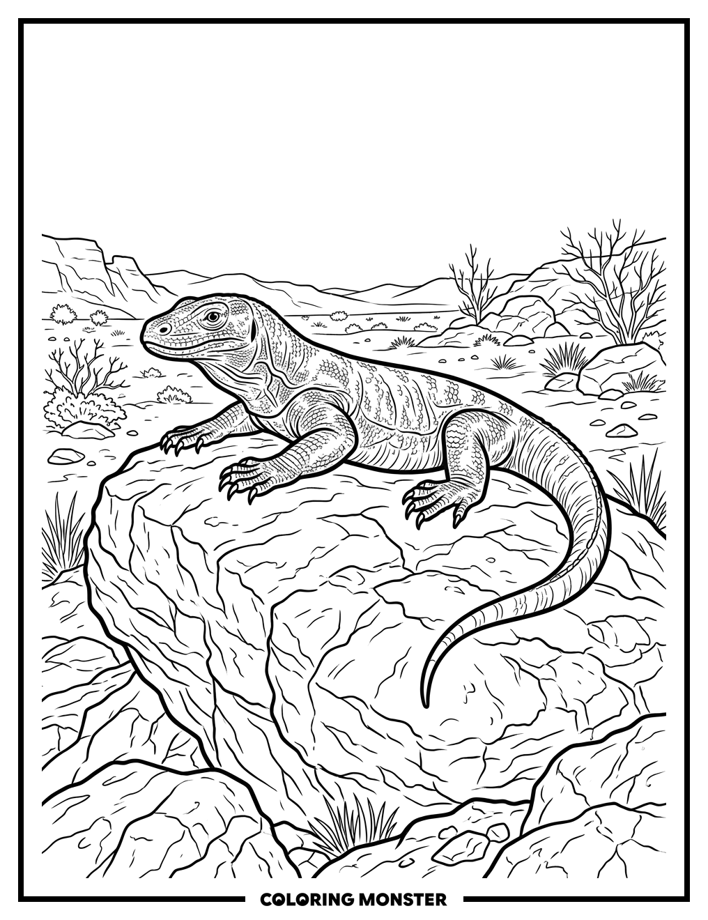 Komodo Dragon on Sunny Rock Coloring Page