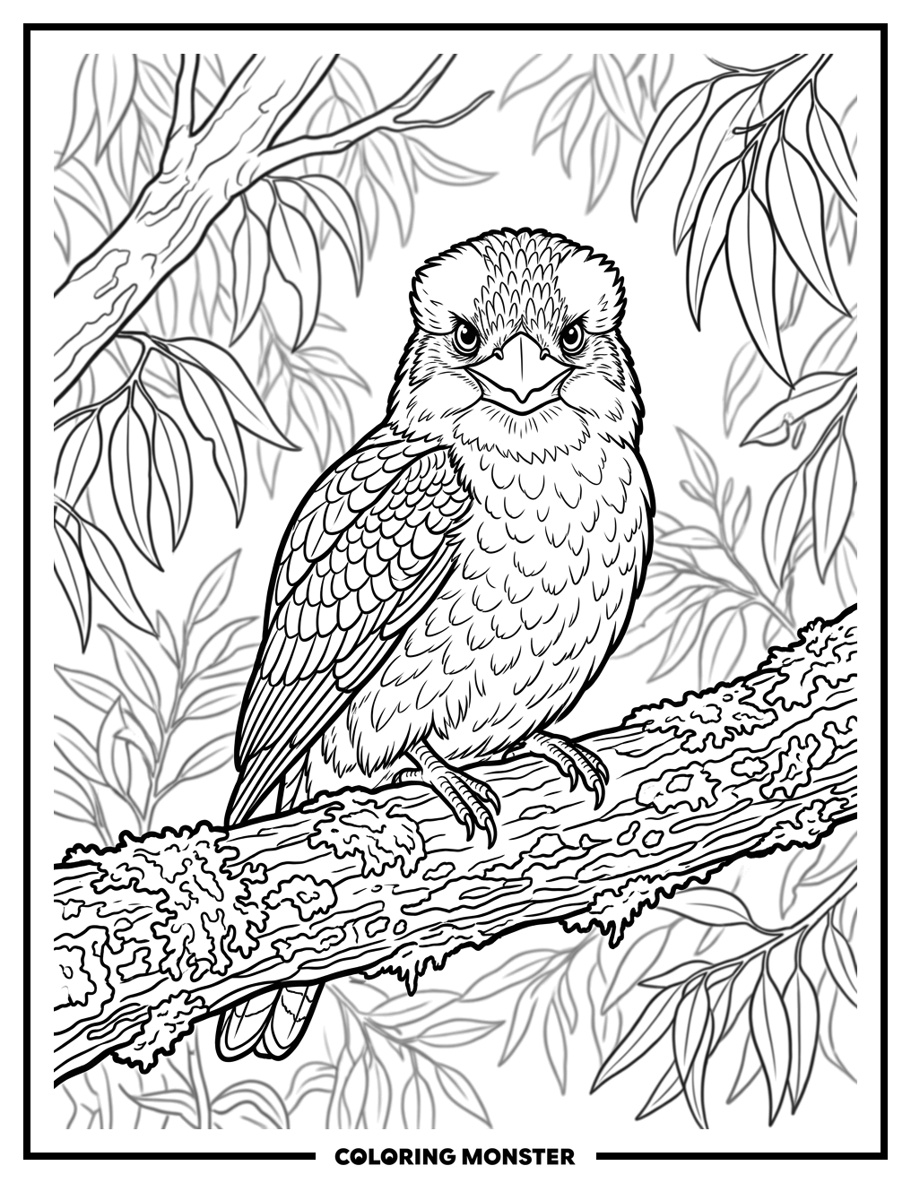 Kookaburra on a Mossy Branch Coloring Page