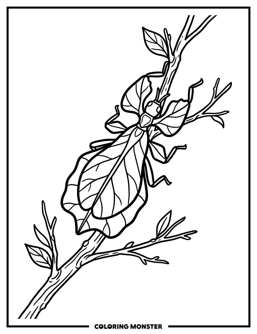 Leaf Bug on Branch Coloring Page