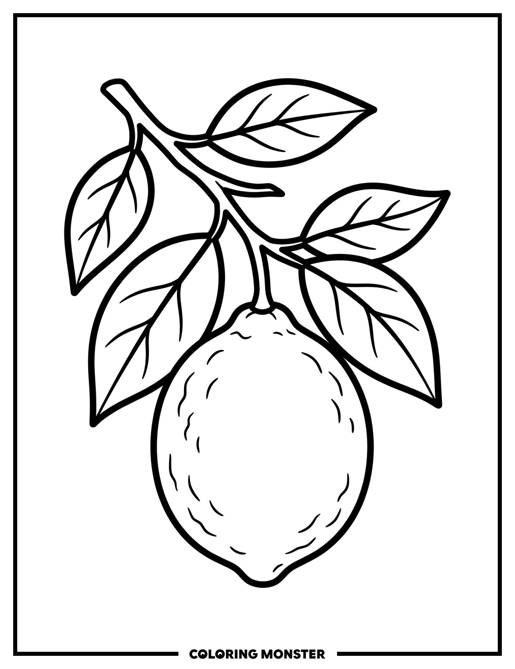 Lemon Fruit on Branch Coloring Page