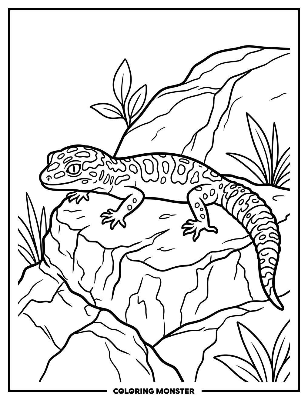 Leopard Gecko on Textured Rock Coloring Page