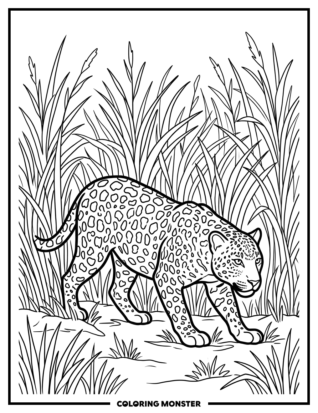 Leopard in Savanna Grass Coloring Page