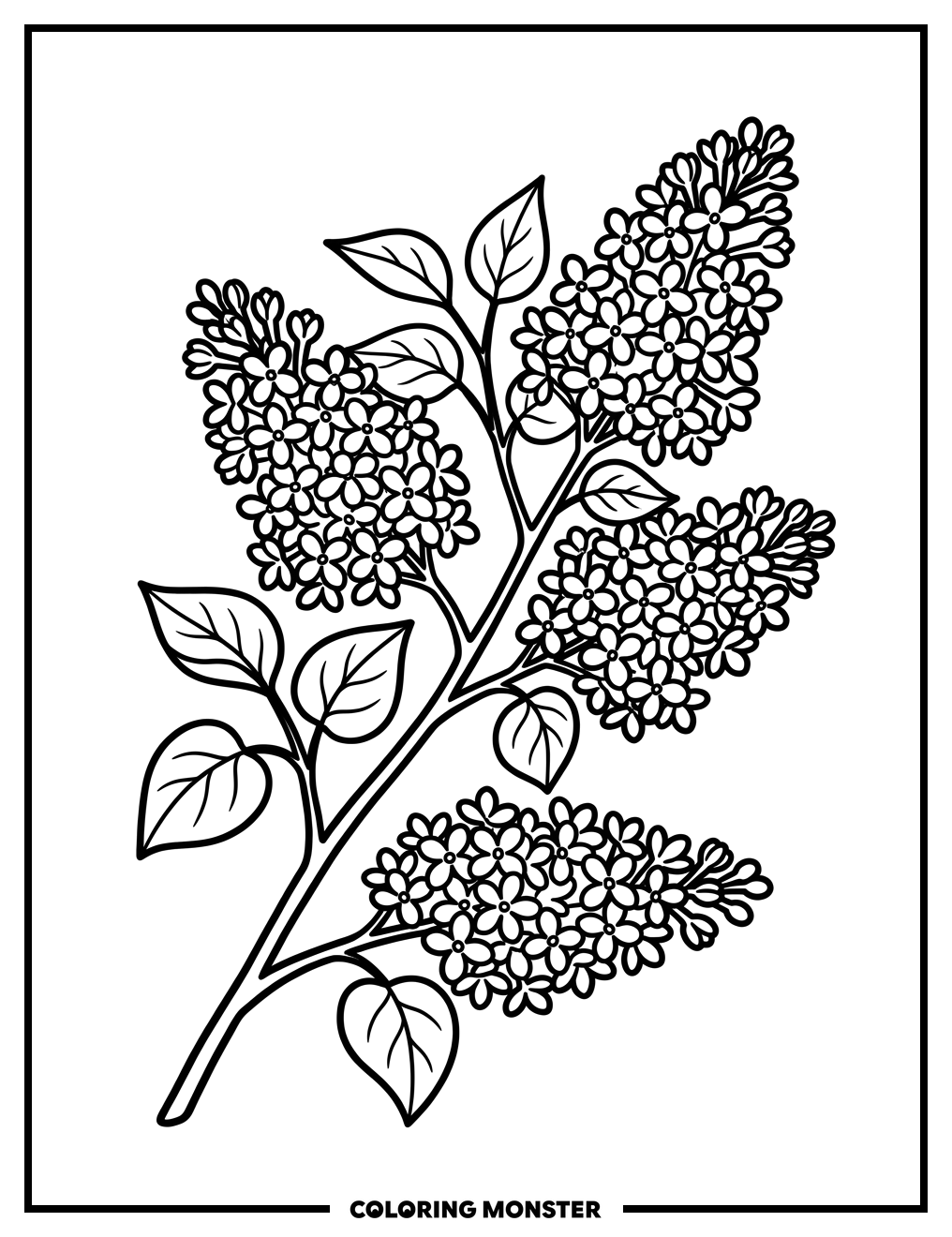 Lilac Bush Branch Coloring Page