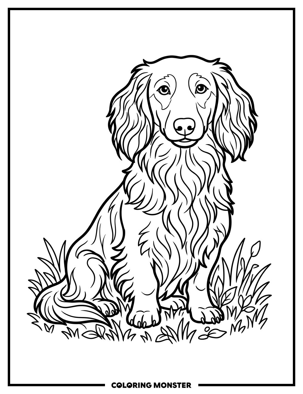 Long-Haired Dachshund in Grass Coloring Page