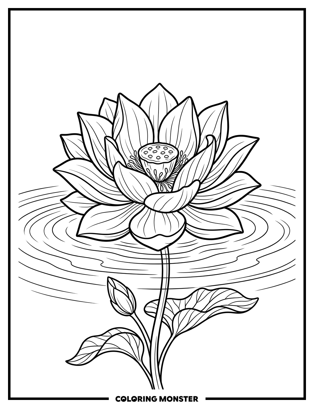 Lotus Flower On Calm Water Coloring Page