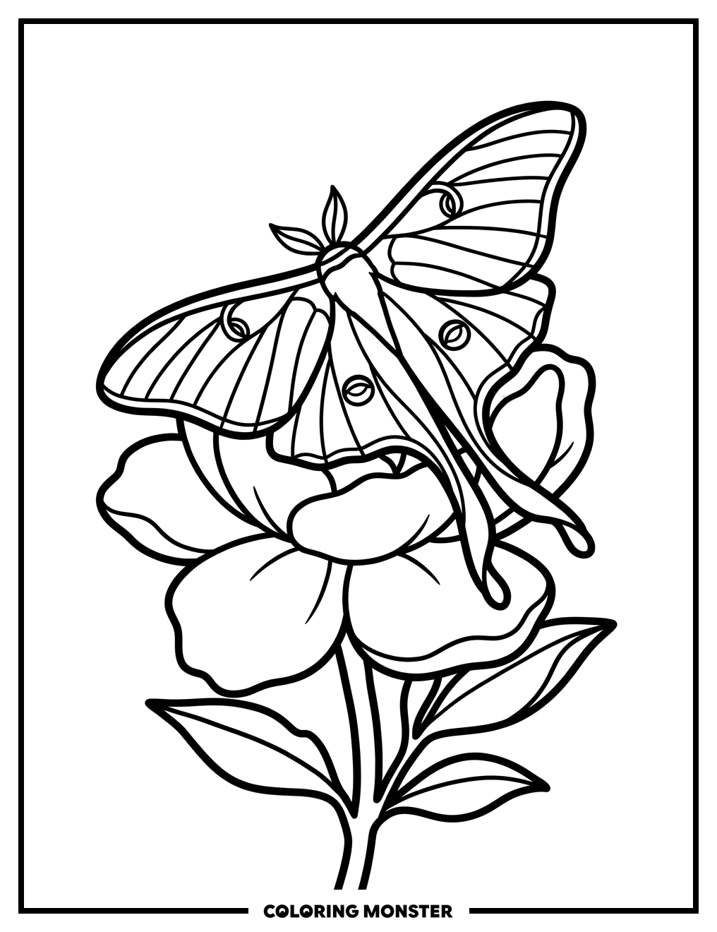 Luna Moth on Blooming Flower Coloring Page
